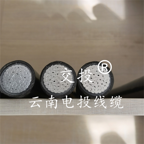 www.catchiy.com