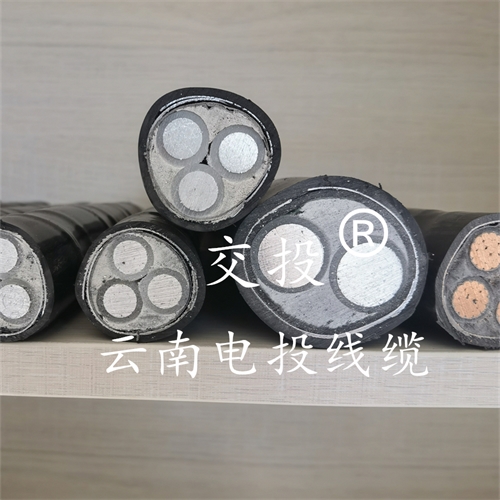 www.catchiy.com