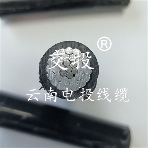 www.catchiy.com